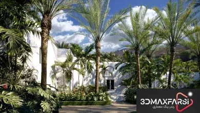 آبجکت درخت نخل تری دی مکس Maxtree – Plant Models Vol. 71