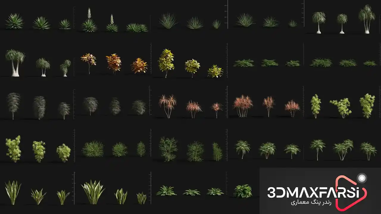 آبجکت مدل مناطق گرم و خشک تری دی مکس Maxtree – Plant Models Vol. 75