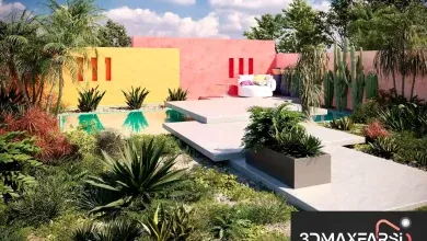 دانلود مدل درخت مناطق گرم و خشک Maxtree – Plant Models Vol. 75