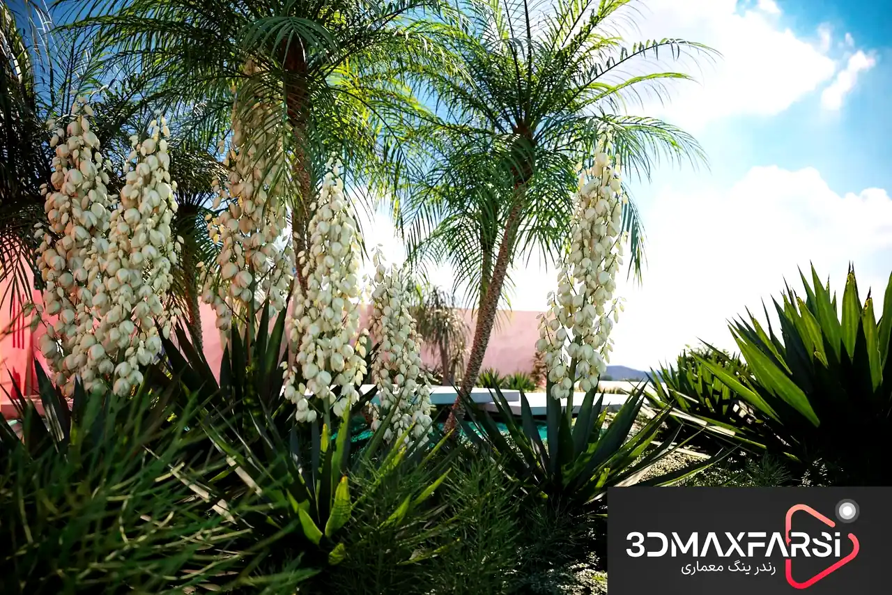 دانلود آبجکت مدل درخت مناطق گرم و خشک Maxtree – Plant Models Vol. 75
