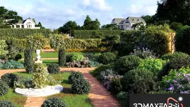 دانلود آبجکت درخت تری دی مکس Maxtree – Plant Models Vol. 77