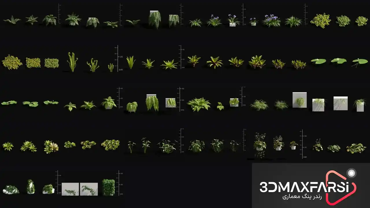 تری دی مکس Maxtree – Plant Models Vol. 82