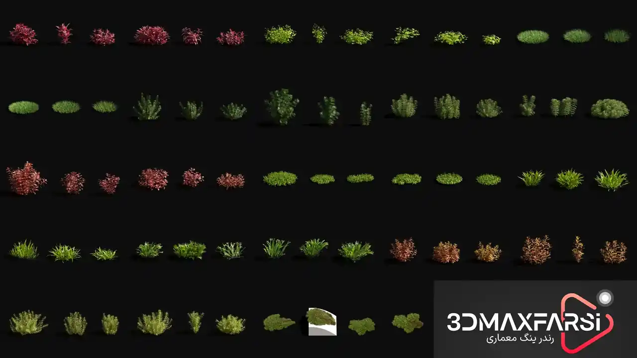 گل بوته تری دی مکس Maxtree – Plant Models Vol. 83