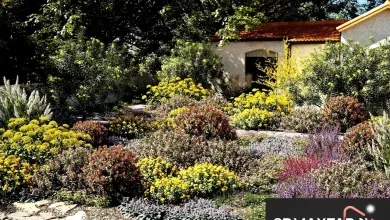 Maxtree – Plant Models Vol. 51