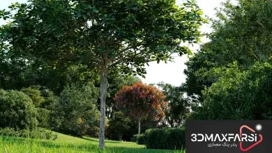 Maxtree – Plant Models Vol. 58