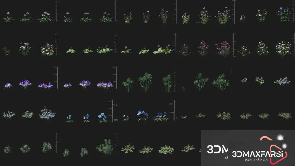کاتالوگ مدل گل Maxtree – Plant Models Vol 91