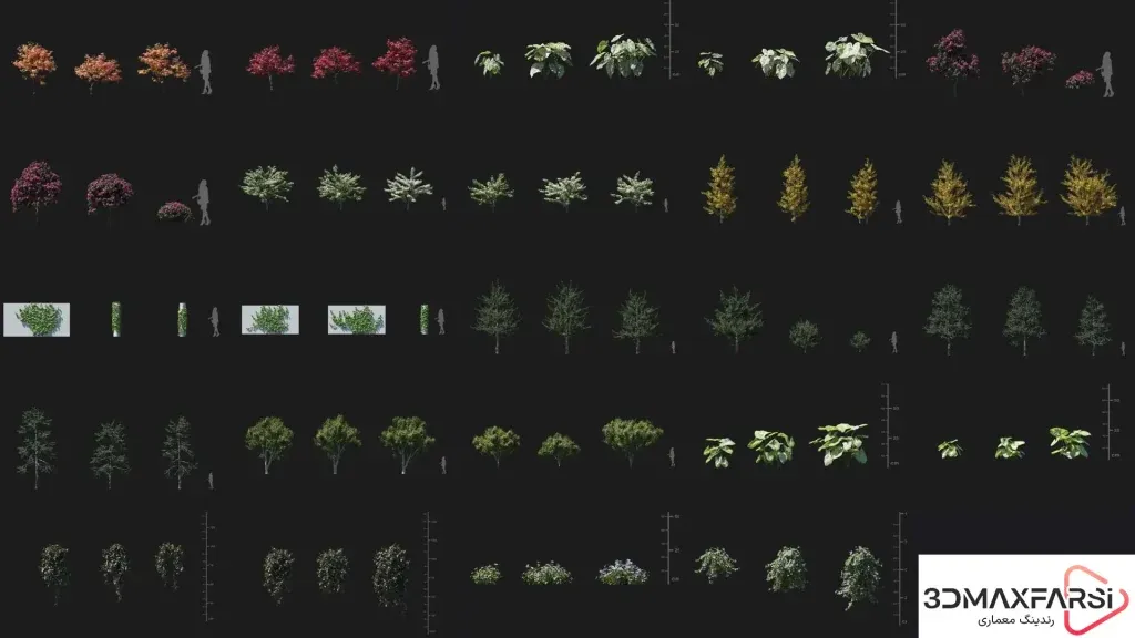 لیست Maxtree – Plant Models Vol 86