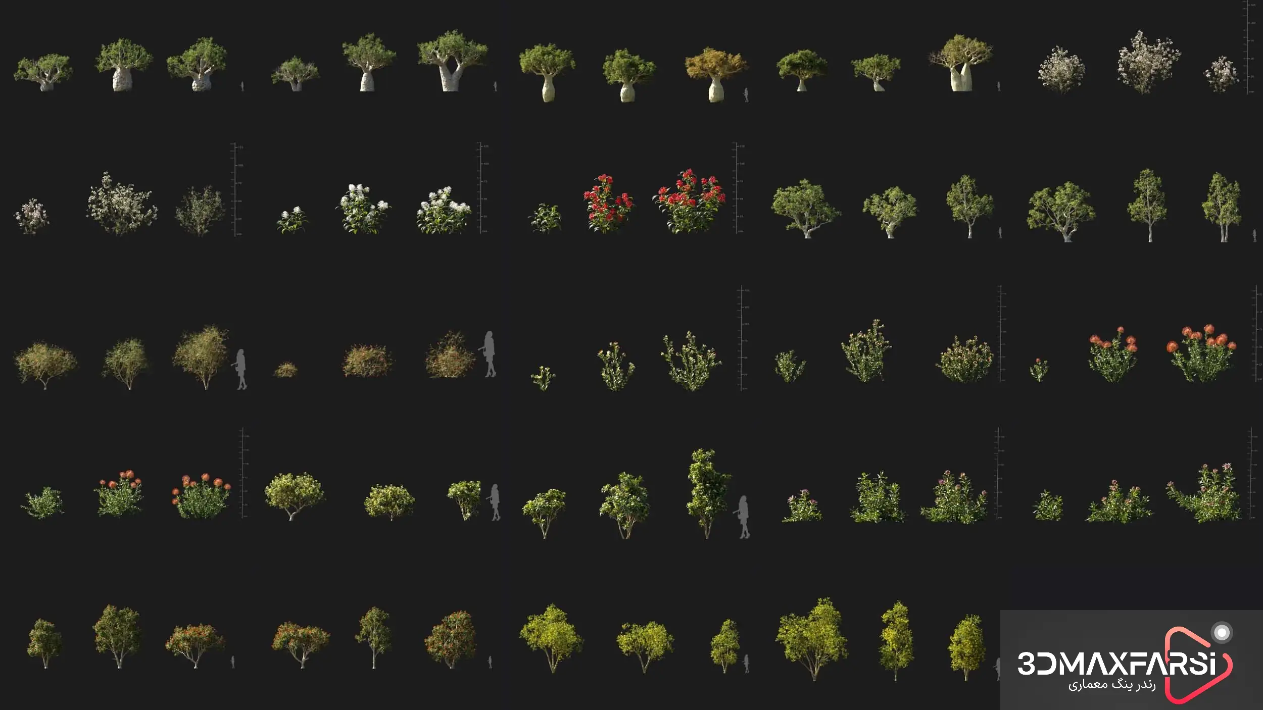 دانلود درخت 3D حرفهای! Maxtree – Plant Models Vol 101