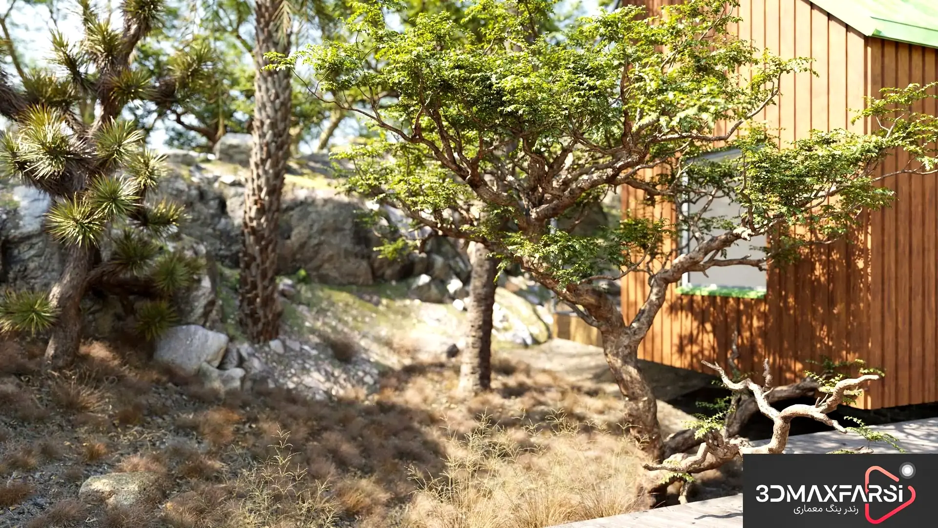 [دانلود رایگان] مجموعه گیاهان سه‌بعدی Maxtree – Plant Models Vol 103