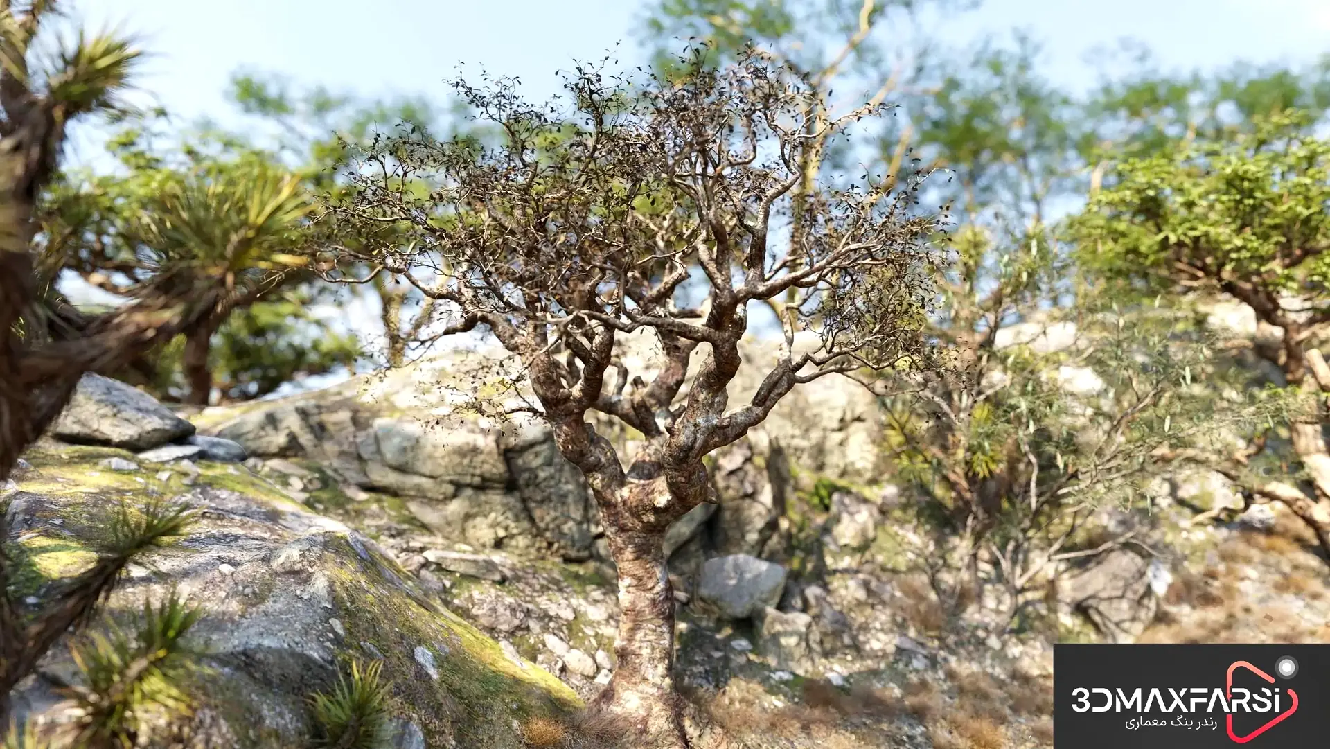 مجموعه گیاهان سه‌بعدی Maxtree – Plant Models Vol 103