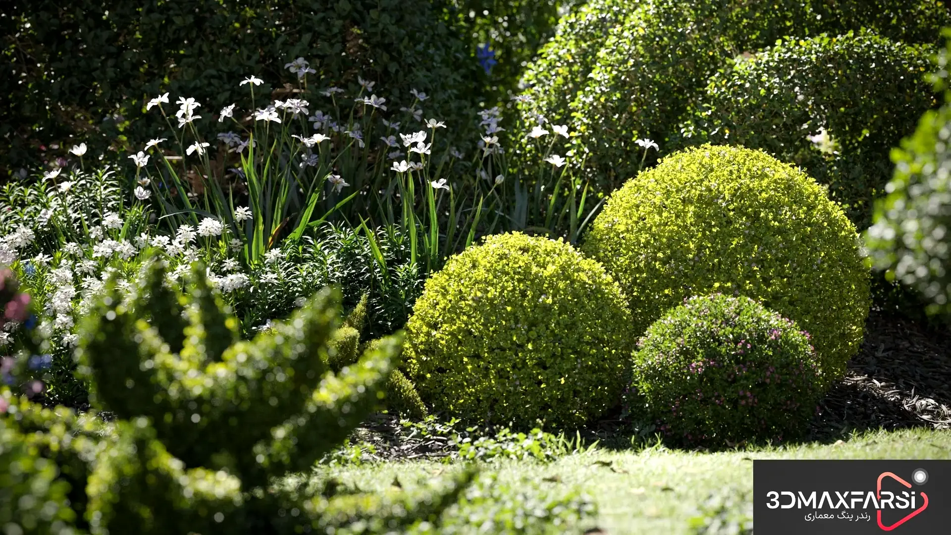 دانلود رایگان! مجموعه گیاه– Maxtree Plant Models Vol 104