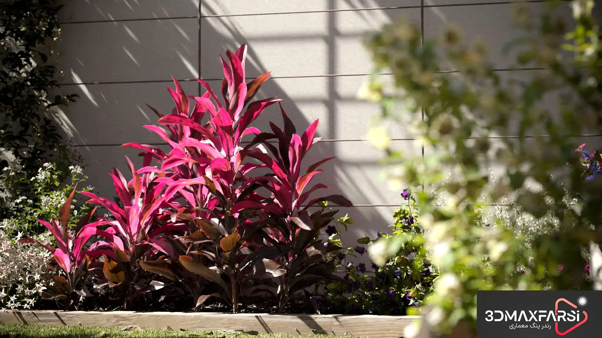 آبجکت سه‌بعدی گیاه حرفه‌ای – Maxtree Plant Models Vol 105