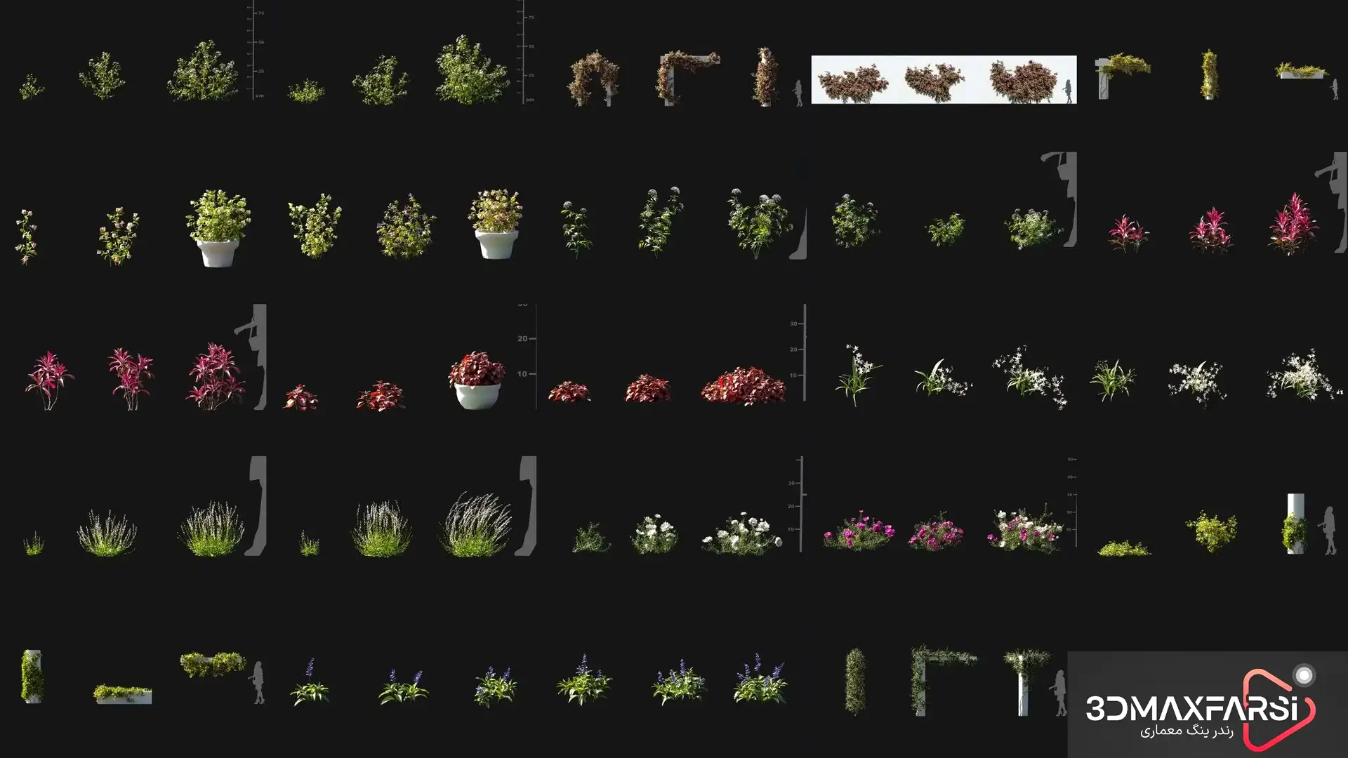  Maxtree Plant Models Vol 105