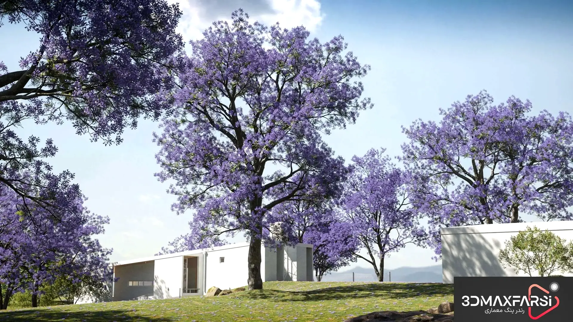 مجموعه درخت سه‌بعدی حرفه‌ای – Maxtree Plant Models Vol 106