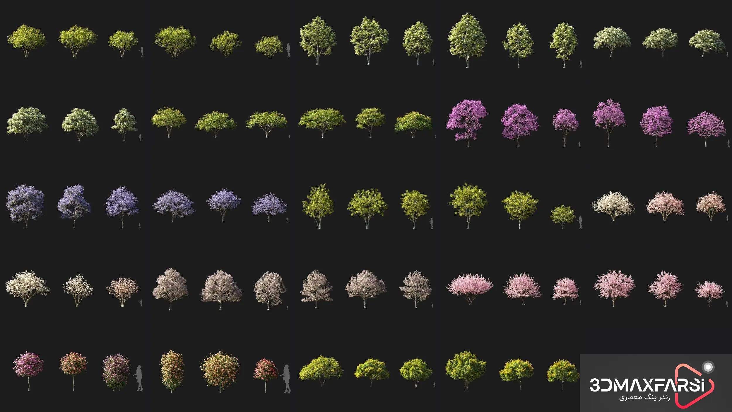 گیاه سهبعدی حرفهای – Maxtree Plant Models Vol 106