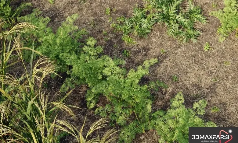 گیاهان 3D حرفهای – Plant Models Vol 93