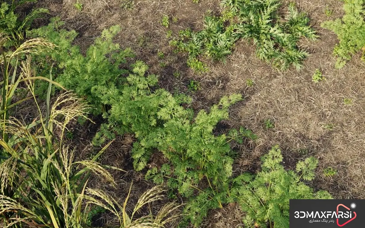 گیاهان 3D حرفه‌ای – Plant Models Vol 93