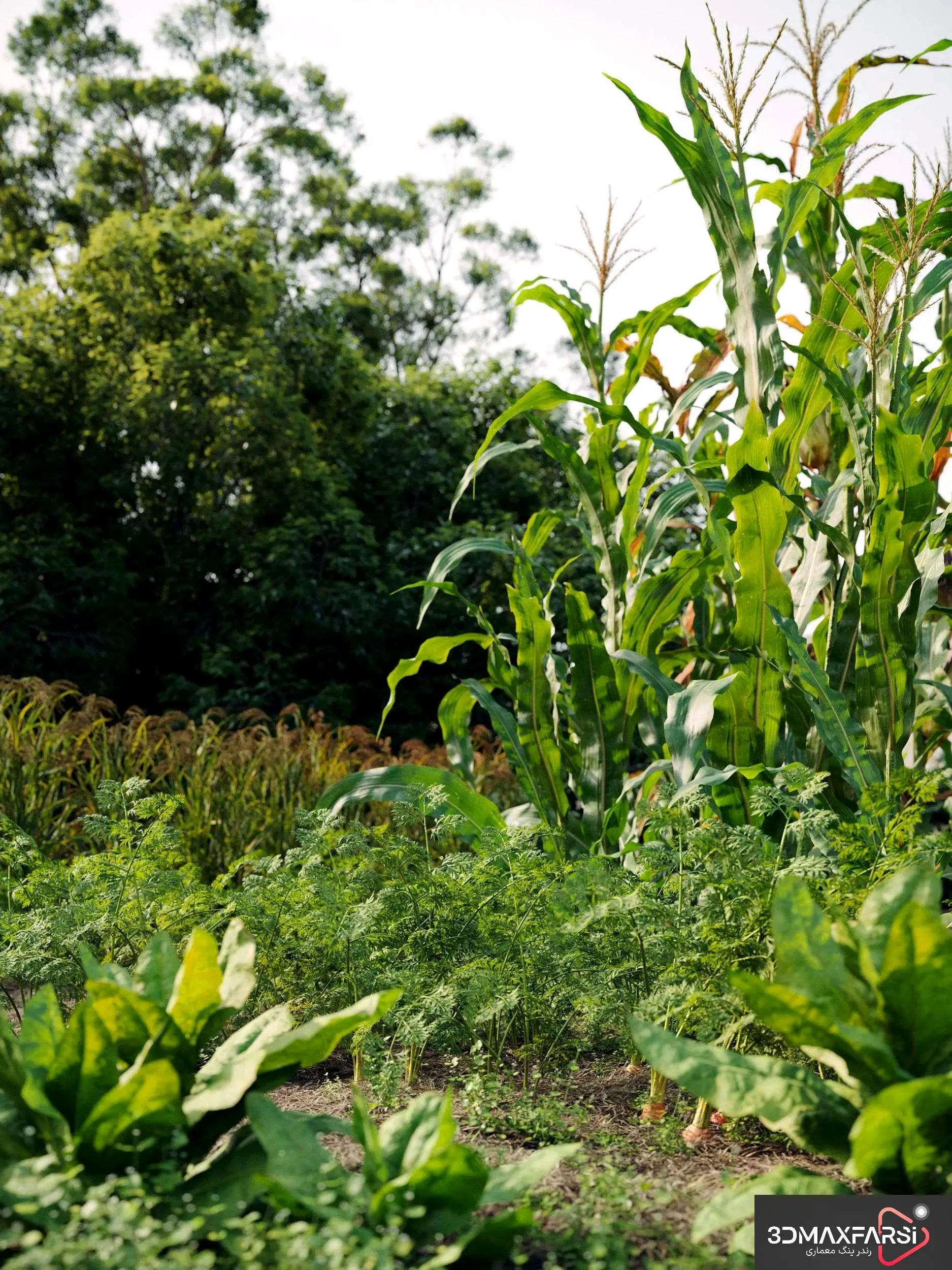 دانلود رایگان! مجموعه گیاهان 3D حرفه‌ای – Plant Models Vol 93