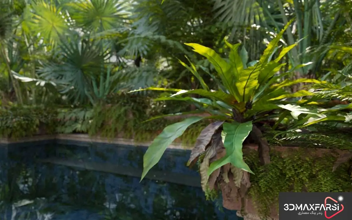 مجموعه گیاهان سه‌بعدی Maxtree – Plant Models Vol 98