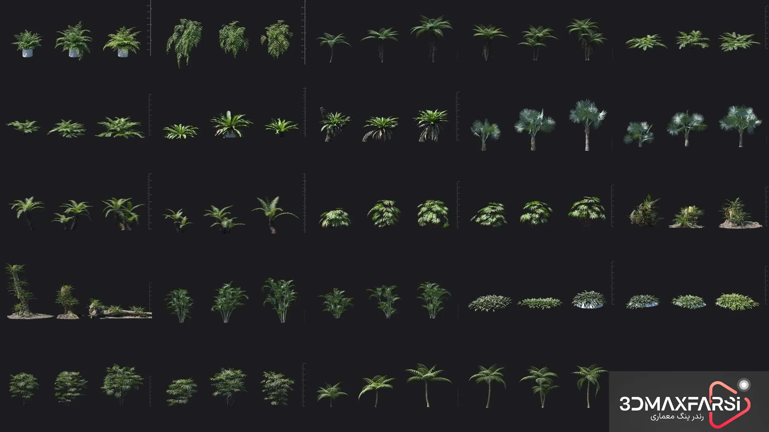 Maxtree – Plant Models Vol 98